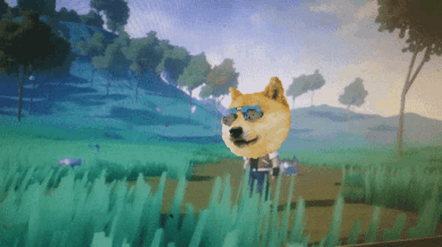 a dog wearing sunglasses stands in a field