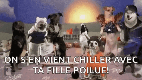 a group of dogs are standing next to each other in front of a sun .