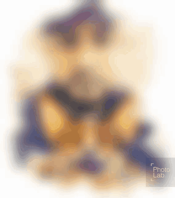 a blurred image of a person 's face with the words photo lab below it
