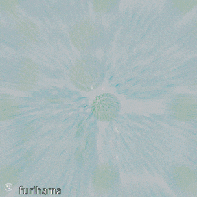 a colorful drawing with the name furhama written on the bottom