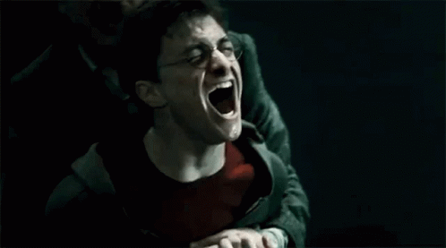 Harry Potter Screaming GIF - Harry Potter Screaming Noo GIFs