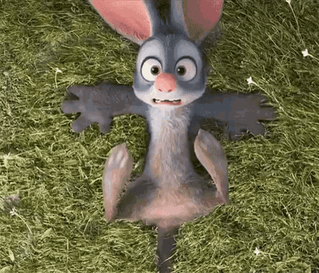 Perry Perry The Bilby GIF