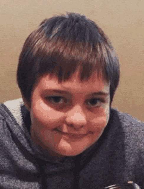 a young boy with short brown hair is smiling for the camera .