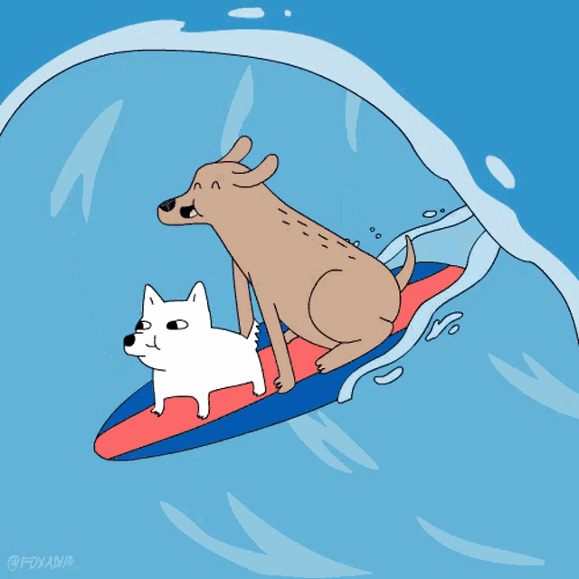 two dogs are riding a wave on a surfboard with foxadhd written on the bottom