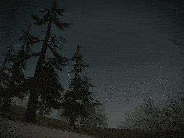 a dark forest with trees in the foreground and rain falling on the ground