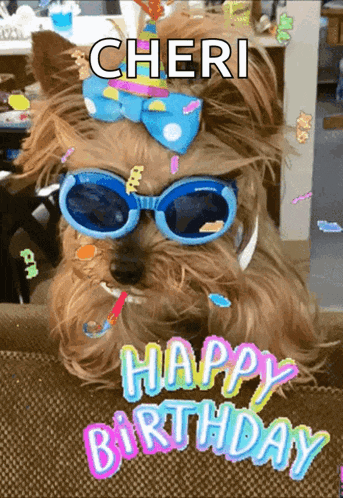a dog wearing sunglasses and a bow with the name cheri written on it