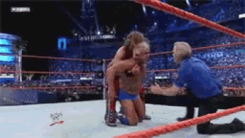 Ric Flair Low Blow GIF