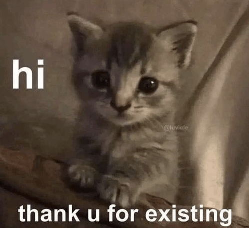 Cat Thank You For Existing GIF