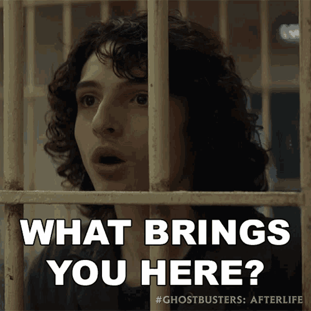 What Brings You Here Trevor GIF - What Brings You Here Trevor Finn Wolfhard GIFs