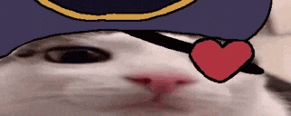 a close up of a cat 's face with a hat and a heart in its eye .