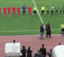 a group of people are standing on a soccer field watching a game