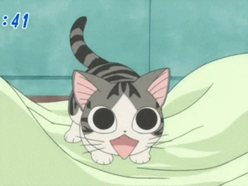 Anime Kitteh GIF - Anime Kitteh GIFs