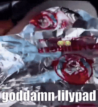 a wrapper of a lollipop with the words goddamn lilypad on it