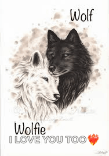 Wolf Wolves GIF - Wolf Wolves Eternal GIFs