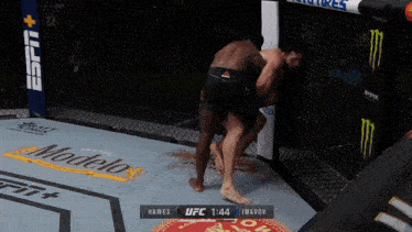 a ufc fight between hawes and imayov takes place in a cage