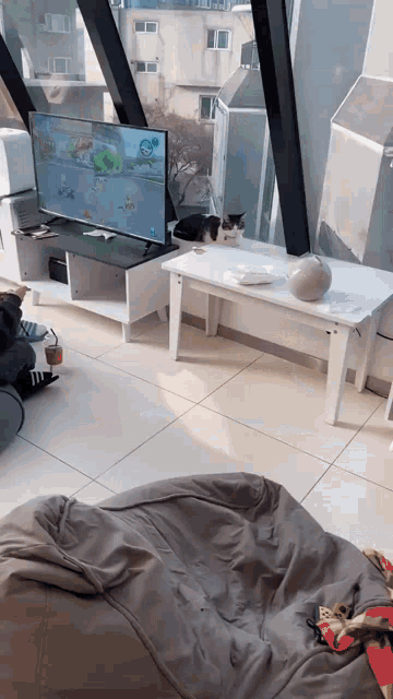 a cat is laying on a bean bag chair in front of a tv