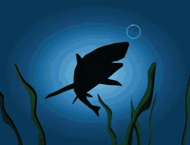 サメ クリエイティブドラッグストア GIF - サメ クリエイティブドラッグストア ジオトギバナシズ GIFs