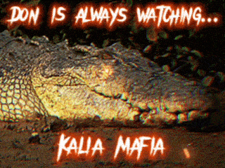 a picture of a crocodile with the words kalia mafia written above it