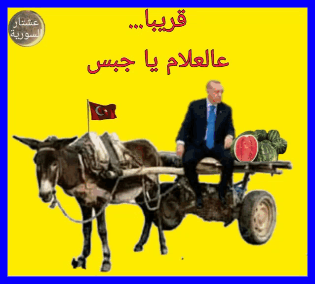 a man in a suit sits on a donkey drawn cart with watermelons