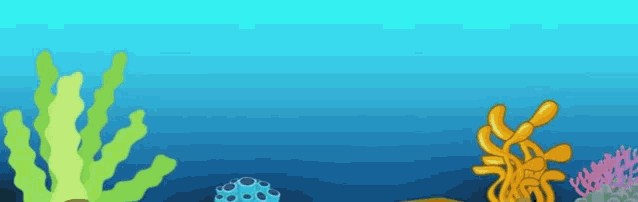 a welcome to celeste crew sign with seaweed and corals