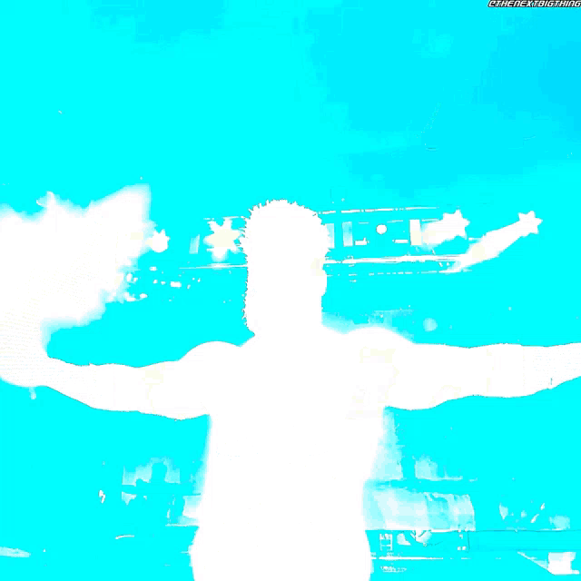 a silhouette of a man with arms outstretched and the word sheamus on the bottom