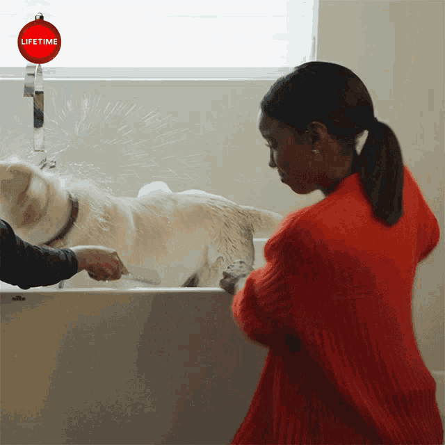 a woman washing a dog in a bathtub with a lifetime ornament on the wall