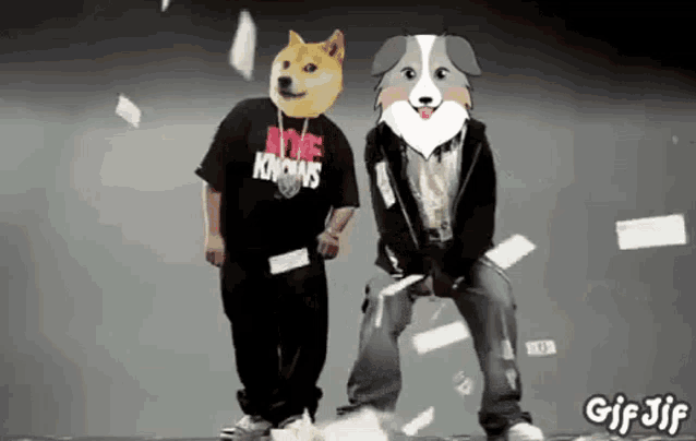 a doge and a border collie are dancing together
