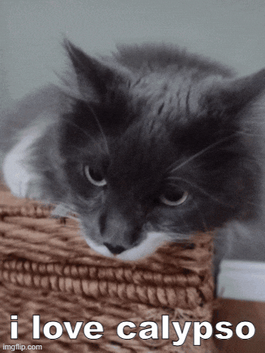 a picture of a cat that says i love calypso on it