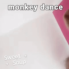 Monkey Dance GIF - Monkey Dance Sweet GIFs