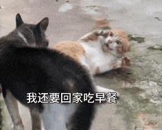 two cats are standing next to each other and one of them is laying on the ground
