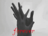 Forever Holding Hands GIF - Forever Holding Hands GIFs