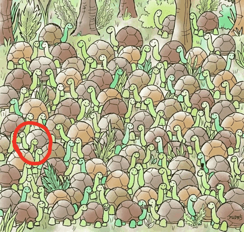 a bunch of turtles are gathered in a field with a red circle in the middle of the group