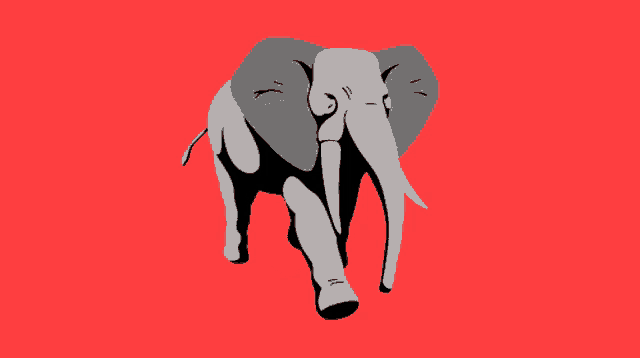 a gray elephant with large tusks is standing on a red background