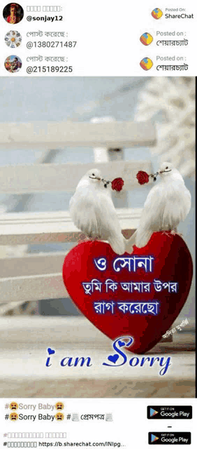 a couple of birds sitting on top of a heart that says sorry