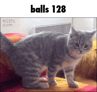 a picture of a cat with the words balls 128 on the bottom
