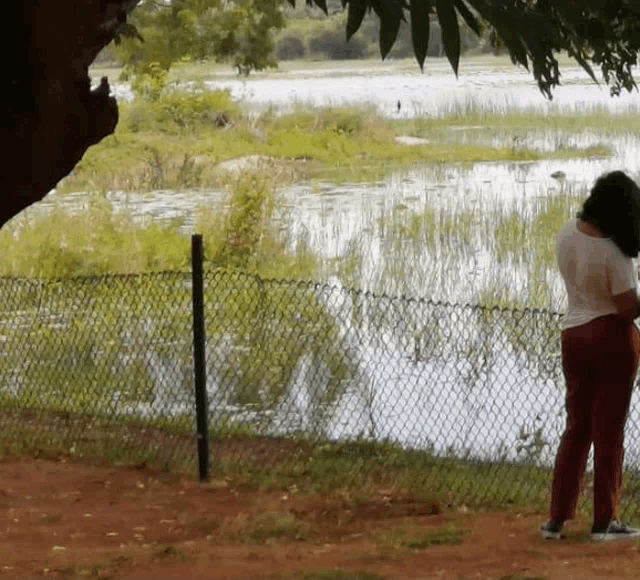 a woman stands in front of a chain link fence looking at a lake