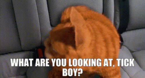 Garfield What Are You Looking At GIF - Garfield What Are You Looking At Tick Boy GIFs