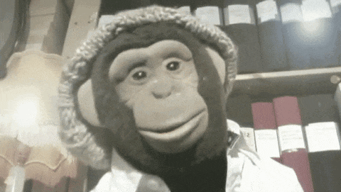 a stuffed chimpanzee wearing a hat and a white lab coat