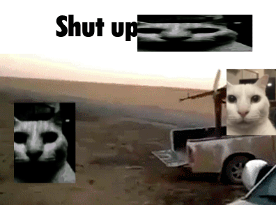 a picture of a cat and a truck with the words shut up