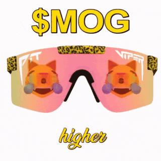 a pair of viper sunglasses with a cat face on them