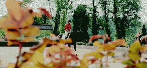 a man in a red shirt is riding a horse in a park .