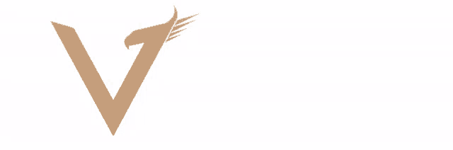 a logo for a company called vaste with a silhouette of a bird
