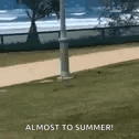 Beach Excited GIF - Beach Excited Happy GIFs