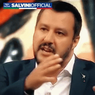 Salviniofficial Matteo Salvini GIF - Salviniofficial Matteo Salvini Salvini GIFs