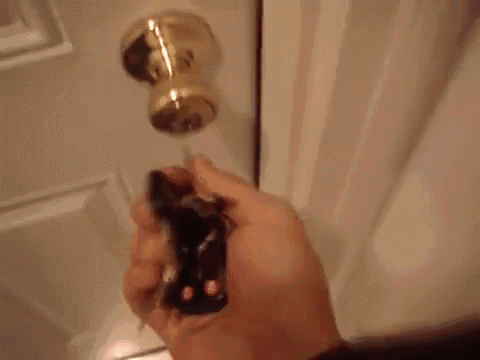 Good Girl!!!! GIF - Dogs Door Excited GIFs