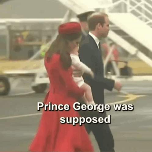 Royals Travel Prince George GIF - Royals Travel Prince George Kate Middlton GIFs