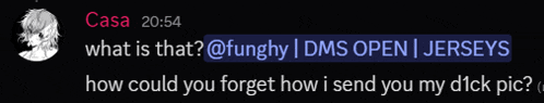 a screenshot of a conversation between casa and funghy at 20:54