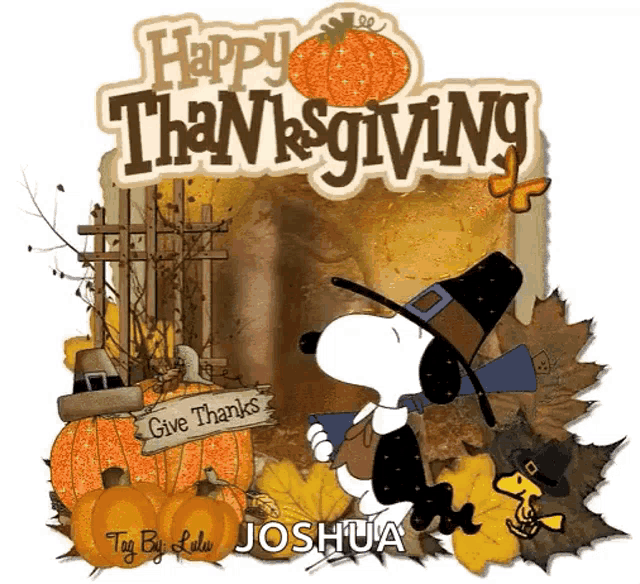 a picture of snoopy wearing a pilgrim hat and a sign that says give thanks
