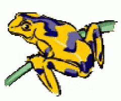 a drawing of a yellow and blue frog sitting on a branch .