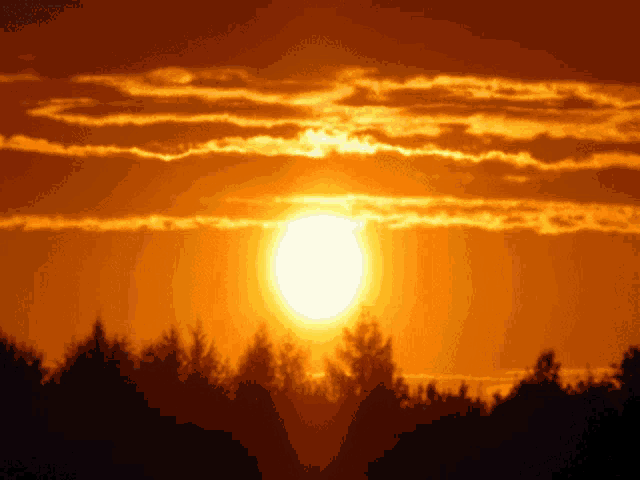 a sunset with the sun shining through the clouds and trees in the foreground